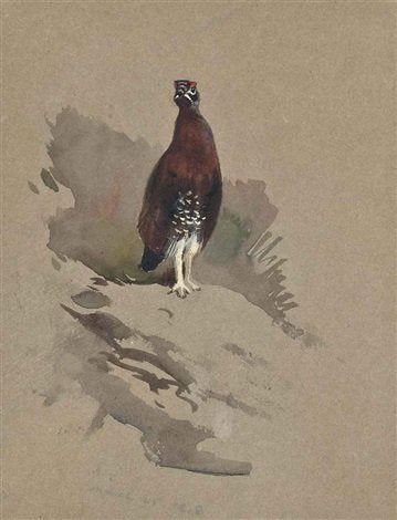 archibald thorburn grouse calling A4 Photo Print