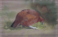 archibald thorburn grouse feeding A4 Photo Print