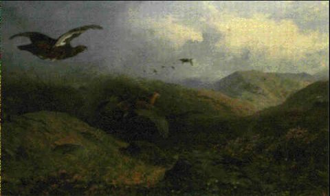 archibald thorburn grouse flying over butts on the scottish moors A4 Photo Print