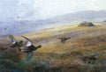 archibald thorburn grouse moor at balmoral A4 Photo Print