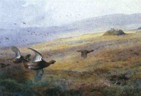 archibald thorburn grouse moor at balmoral A4 Photo Print