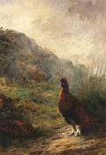 archibald thorburn grouse on the moors A4 Photo Print