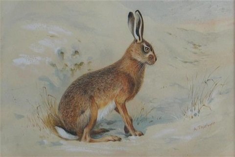 archibald thorburn hare in a snowy landscape A4 Photo Print