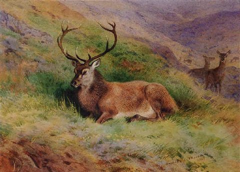 archibald thorburn his last siesta sgurr choinnichean knoydart A4 Photo Print