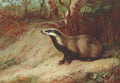 archibald thorburn home territory A4 Photo Print