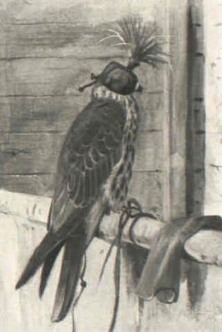 archibald thorburn hooded falcon A4 Photo Print
