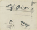 archibald thorburn house martins study A4 Photo Print