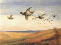 archibald thorburn huns A4 Photo Print