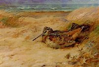 archibald thorburn in from the north sea woodcock A4 Photo Print