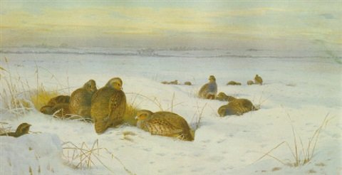 archibald thorburn in the bleak midwinter partridges A4 Photo Print