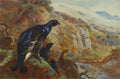 archibald thorburn in the glen blackcock A4 Photo Print
