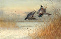 archibald thorburn killed as he reaches cover A4 Photo Print