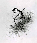 archibald thorburn long tailed tit A4 Photo Print