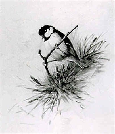 archibald thorburn long tailed tit A4 Photo Print