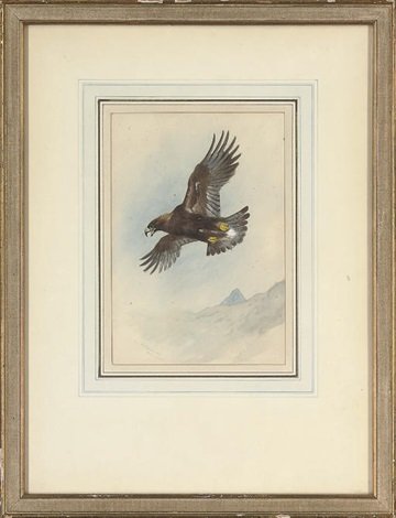 archibald thorburn lord of the glen A4 Photo Print