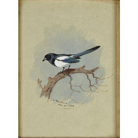 archibald thorburn magpie on a branch A4 Photo Print