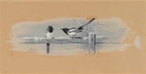archibald thorburn magpies on a fence A4 Photo Print