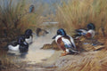 archibald thorburn mallard tufted duck and a kingfisher at the waters edge A4 Photo Print