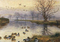 archibald thorburn mallards coming in wild duck pond sandringham A4 Photo Print
