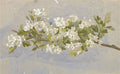 archibald thorburn mayflower A4 Photo Print