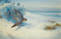archibald thorburn merlin and larks A4 Photo Print