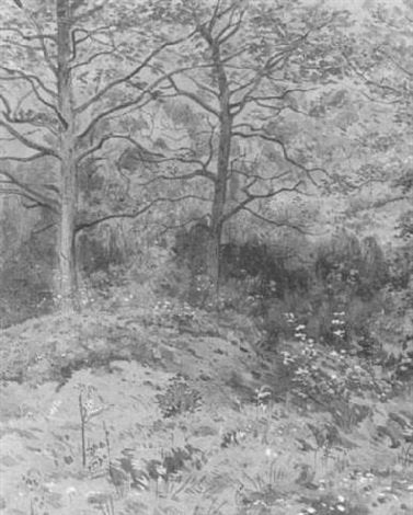 archibald thorburn nightjar on bough A4 Photo Print