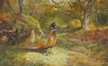 archibald thorburn on the alert a pair of pheasants A4 Photo Print
