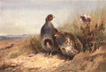 archibald thorburn on the alert grey partridges A4 Photo Print