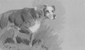 archibald thorburn on the point A4 Photo Print