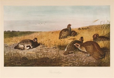 archibald thorburn partridge   2 others 3 works A4 Photo Print