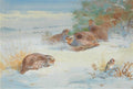 archibald thorburn partridge and a goldfinch in a winter landscape A4 Photo Print