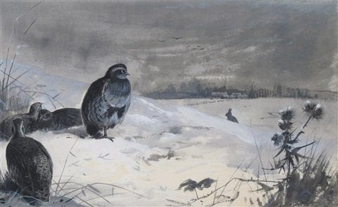 archibald thorburn partridge in a winter landscape A4 Photo Print
