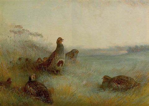 archibald thorburn partridges chill hoar frost at dawn A4 Photo Print