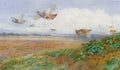 archibald thorburn partridges in flight A4 Photo Print