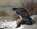 archibald thorburn peregrine on teal A4 Photo Print