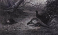 archibald thorburn pheasant on a woodland path late autumn A4 Photo Print