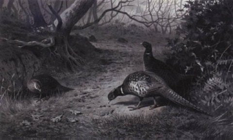 archibald thorburn pheasant on a woodland path late autumn A4 Photo Print