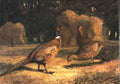 archibald thorburn pheasants in a harvest field A4 Photo Print