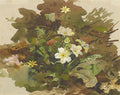 archibald thorburn primroses ivy and buttercups A4 Photo Print