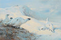 archibald thorburn ptarmigan calling in the snow A4 Photo Print
