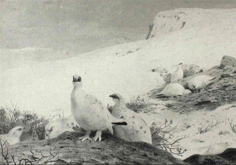 archibald thorburn ptarmigan in winter A4 Photo Print