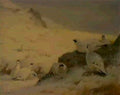 archibald thorburn ptarmigan A4 Photo Print
