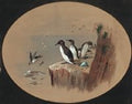 archibald thorburn puffins A4 Photo Print