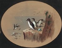 archibald thorburn puffins A4 Photo Print