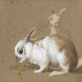 archibald thorburn rabbits   blue tit 2 works A4 Photo Print