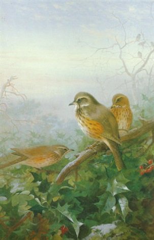 archibald thorburn redwings during frost A4 Photo Print