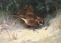 archibald thorburn redwings A4 Photo Print