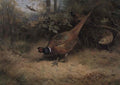 archibald thorburn running before the beaters A4 Photo Print