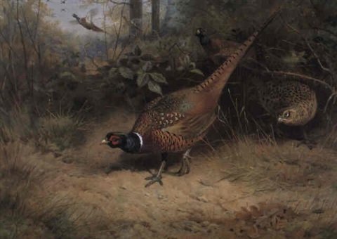 archibald thorburn running before the beaters A4 Photo Print