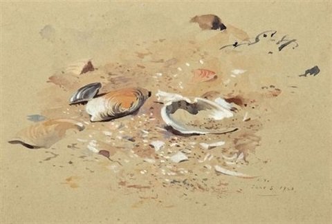 archibald thorburn sea shells A4 Photo Print